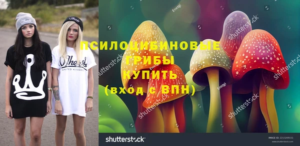кокс Аркадак