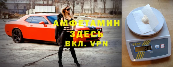 тгк Пересвет