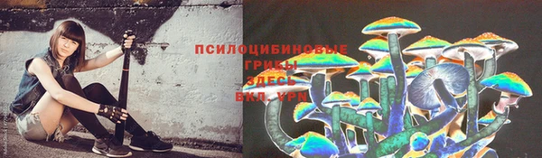 крисы Арсеньев