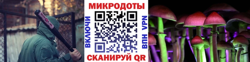 даркнет телеграм  Шуя  Галлюциногенные грибы Psilocybine cubensis 