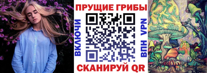 Галлюциногенные грибы GOLDEN TEACHER Шуя